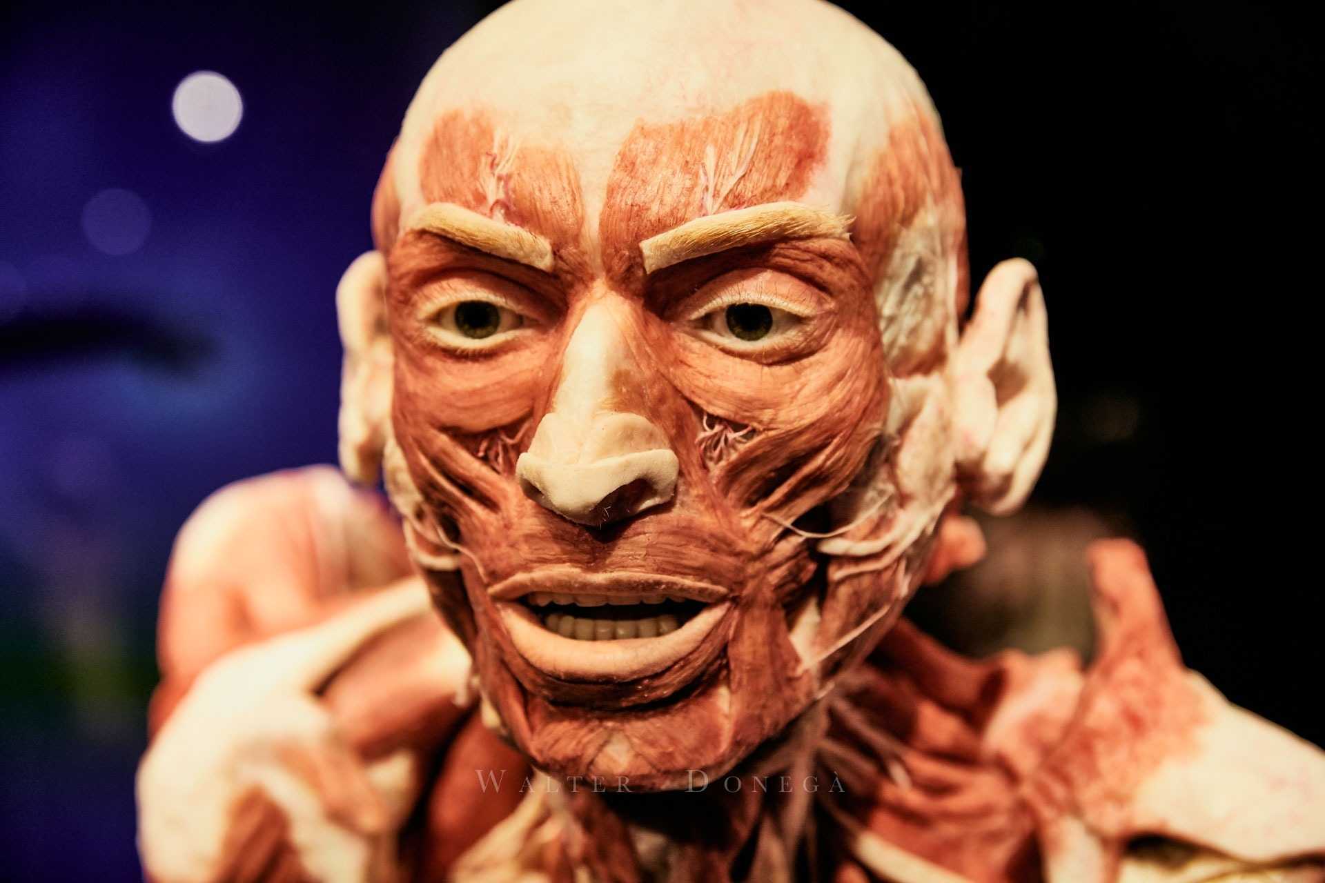 IMG_0775