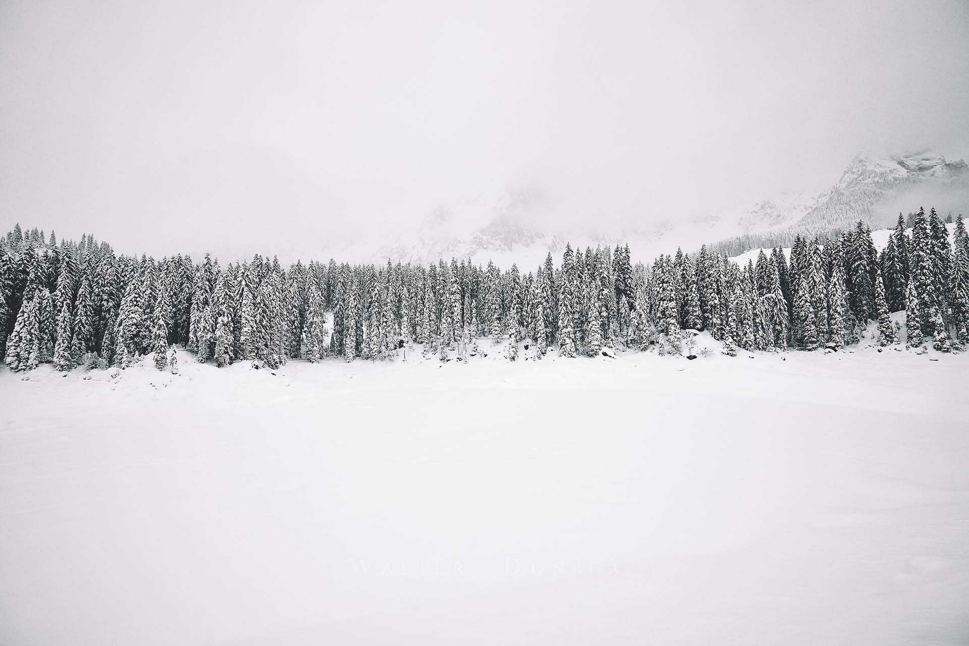 Lago di Carezza con la neve