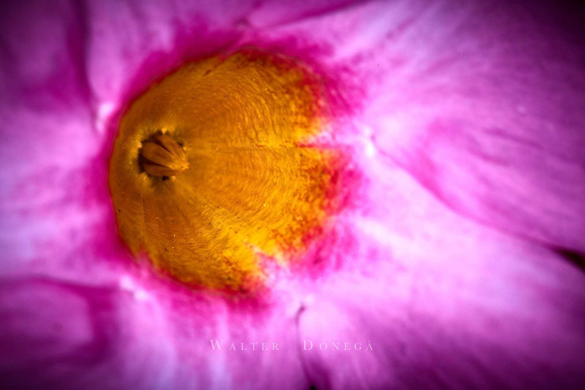 5D7A0728