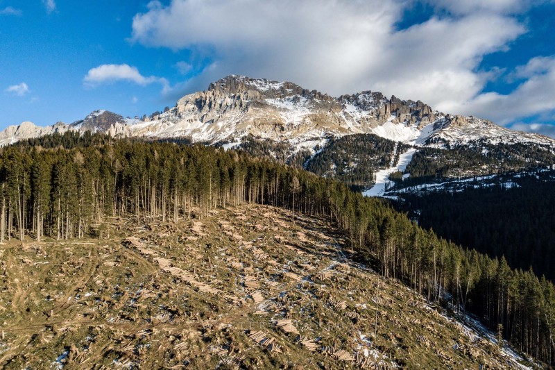 Boschi Obereggen e Passo Lavazè
