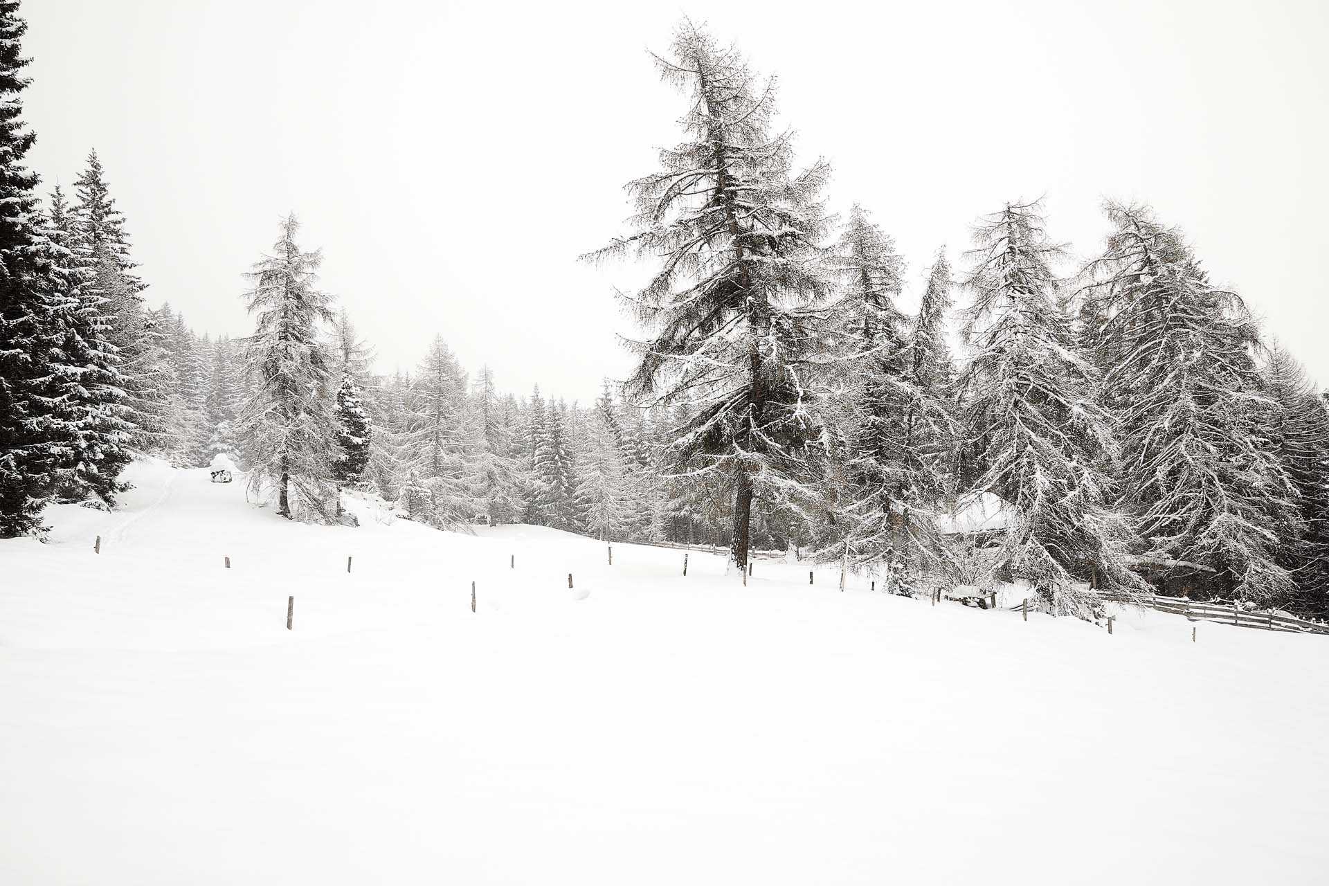 Passeggiata Feud Renon con la neve