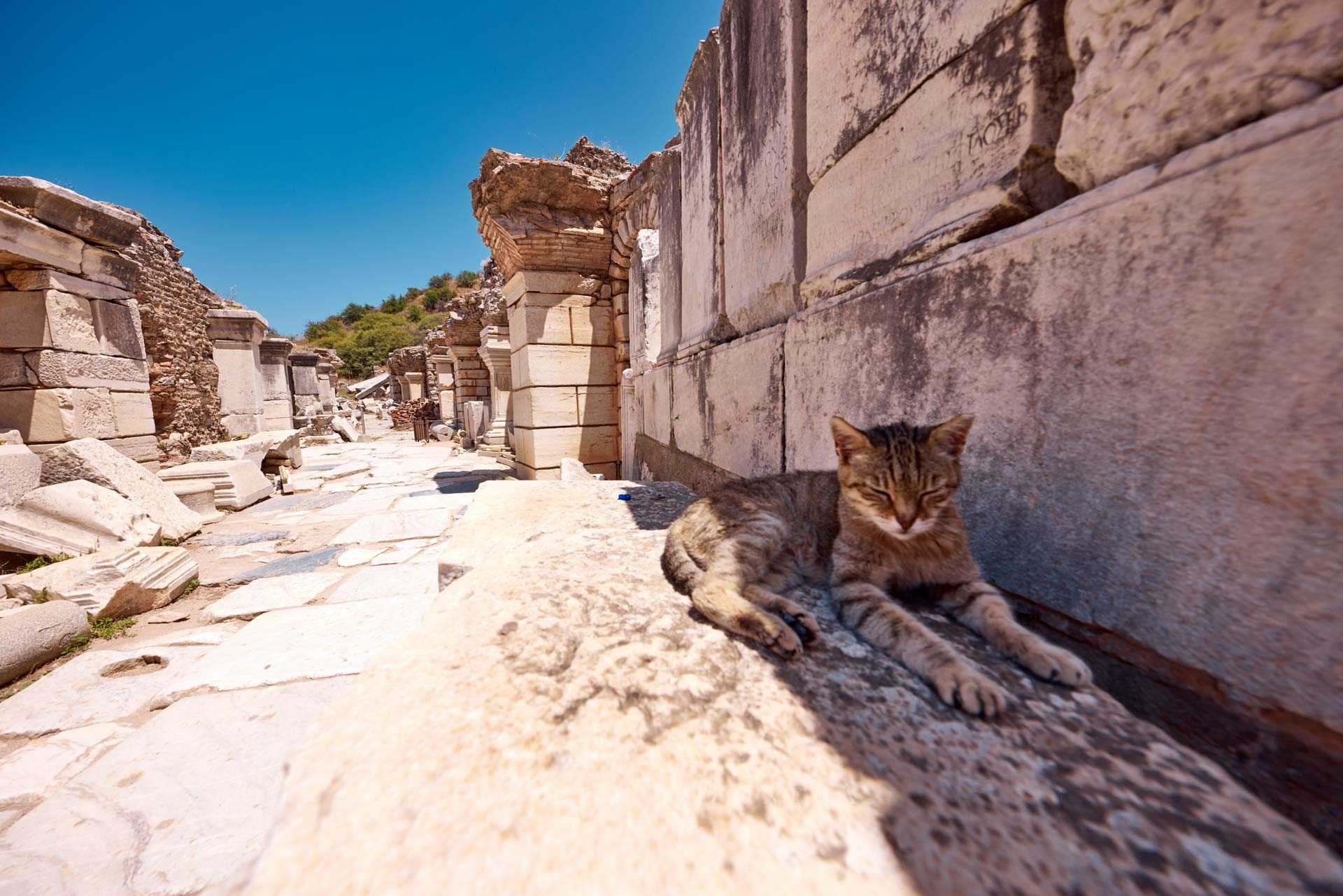 Agorà inferiore, Efeso, Selçuk - İzmir