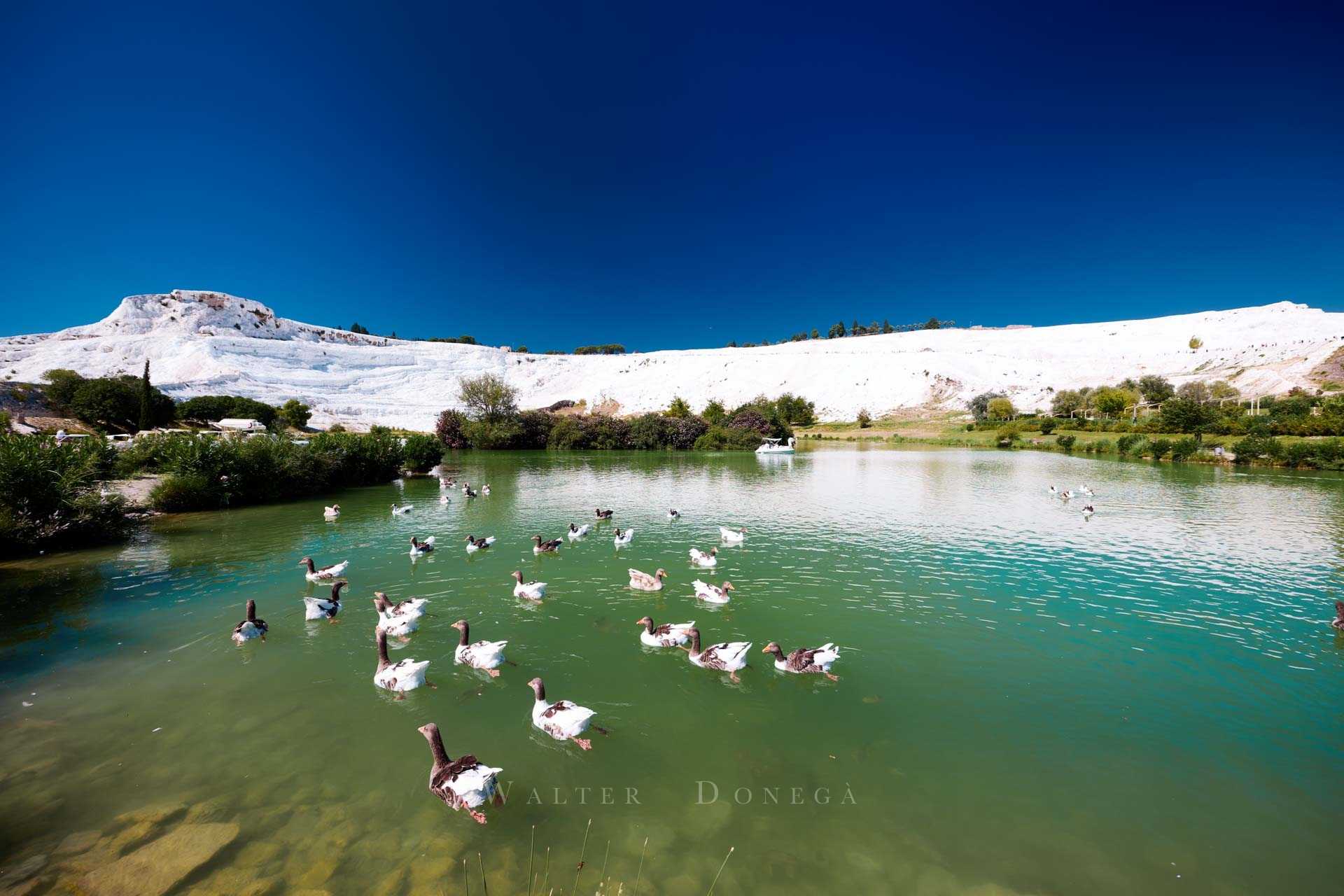 Pamukkale, Denizli