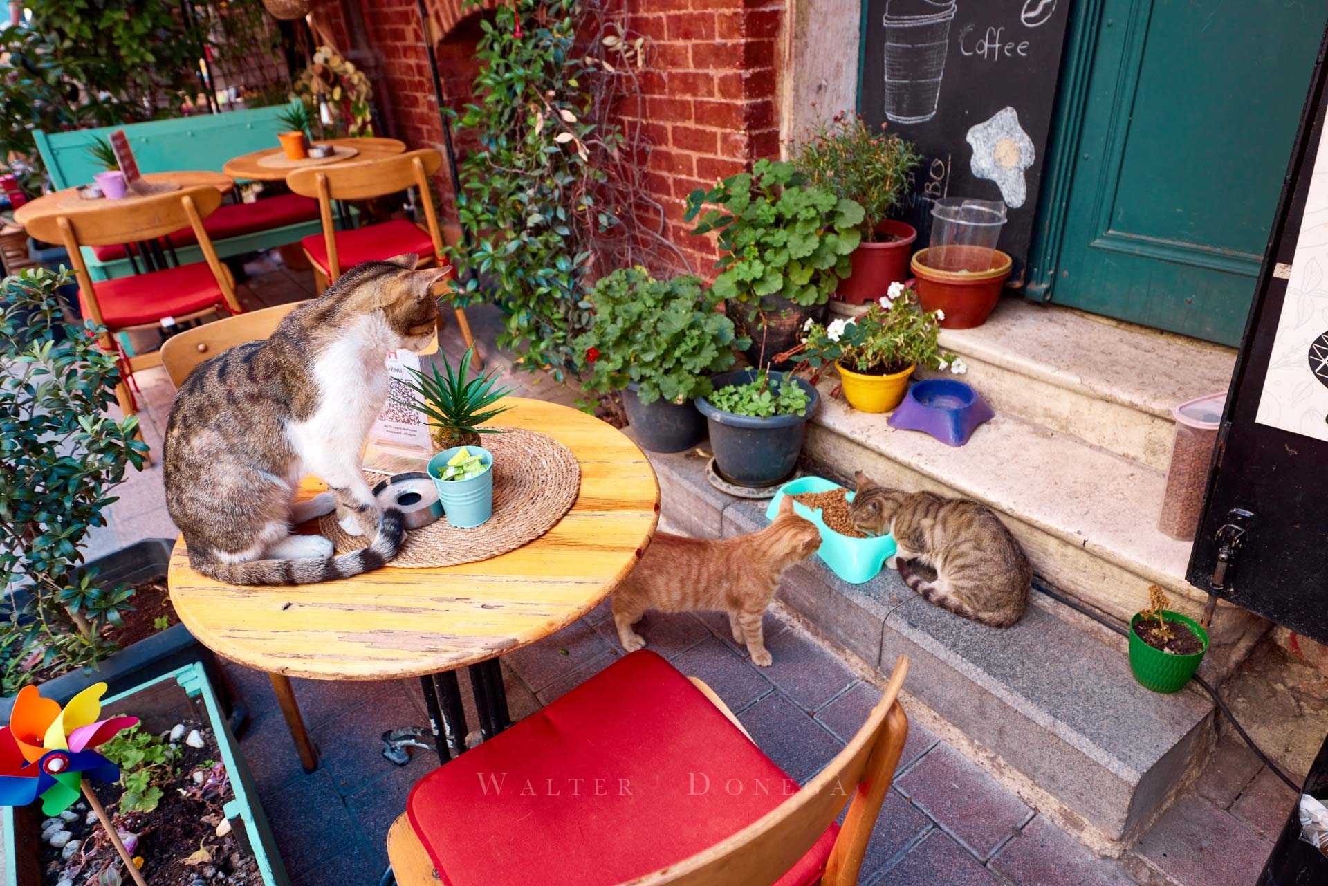 Quartieri di Fener e Balat, Fatih, Istanbul