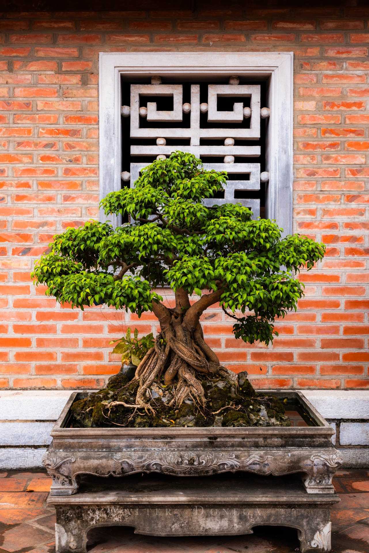 Hanoi Tempio della Letteratura