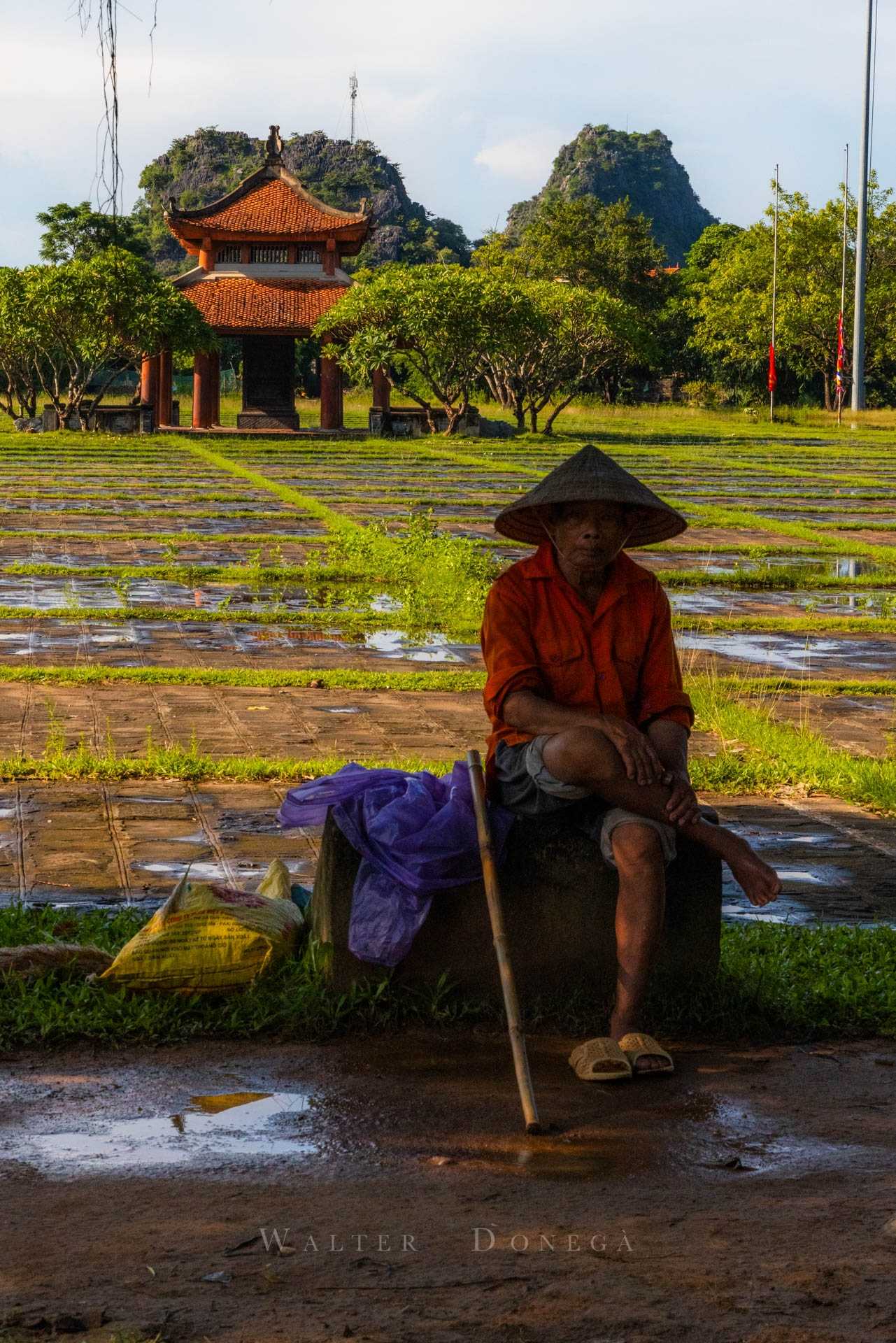 Bai DInh Pagoda