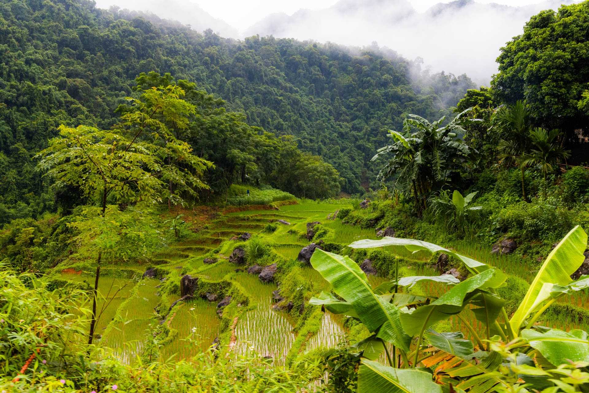 Riserva naturale Pu Luong