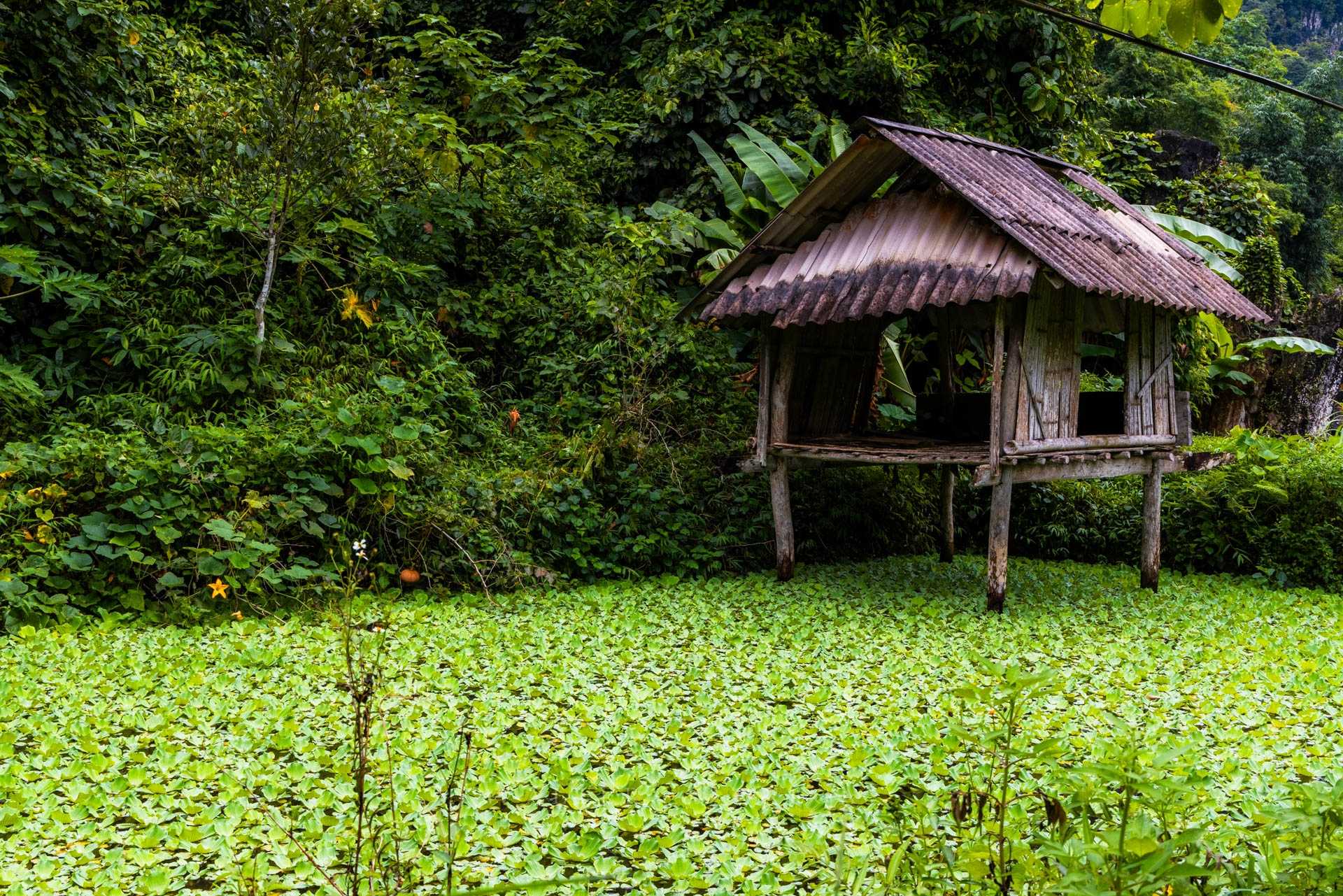 Riserva naturale Pu Luong