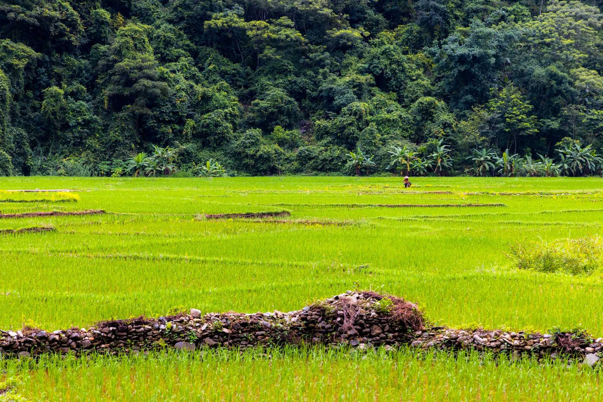 Riserva naturale Pu Luong