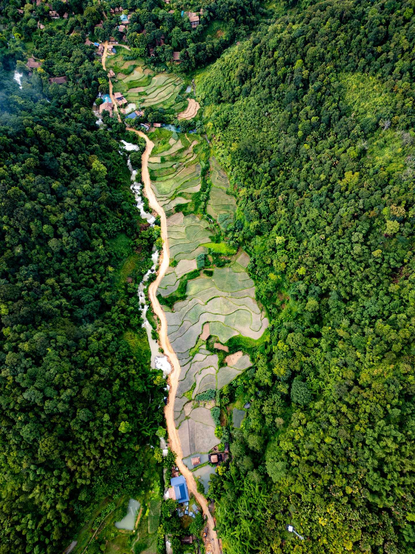 Riserva naturale Pu Luong