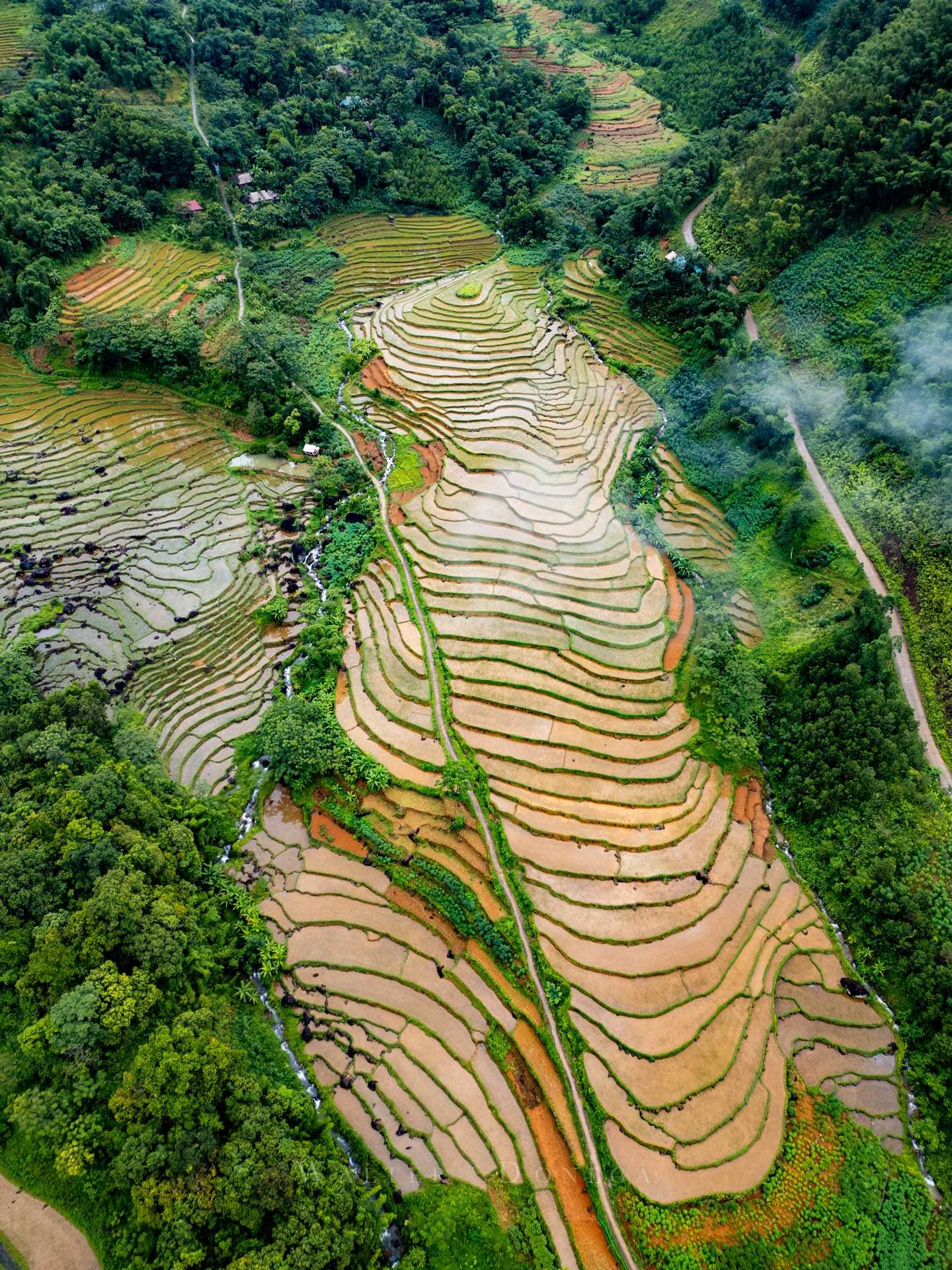 Riserva naturale Pu Luong