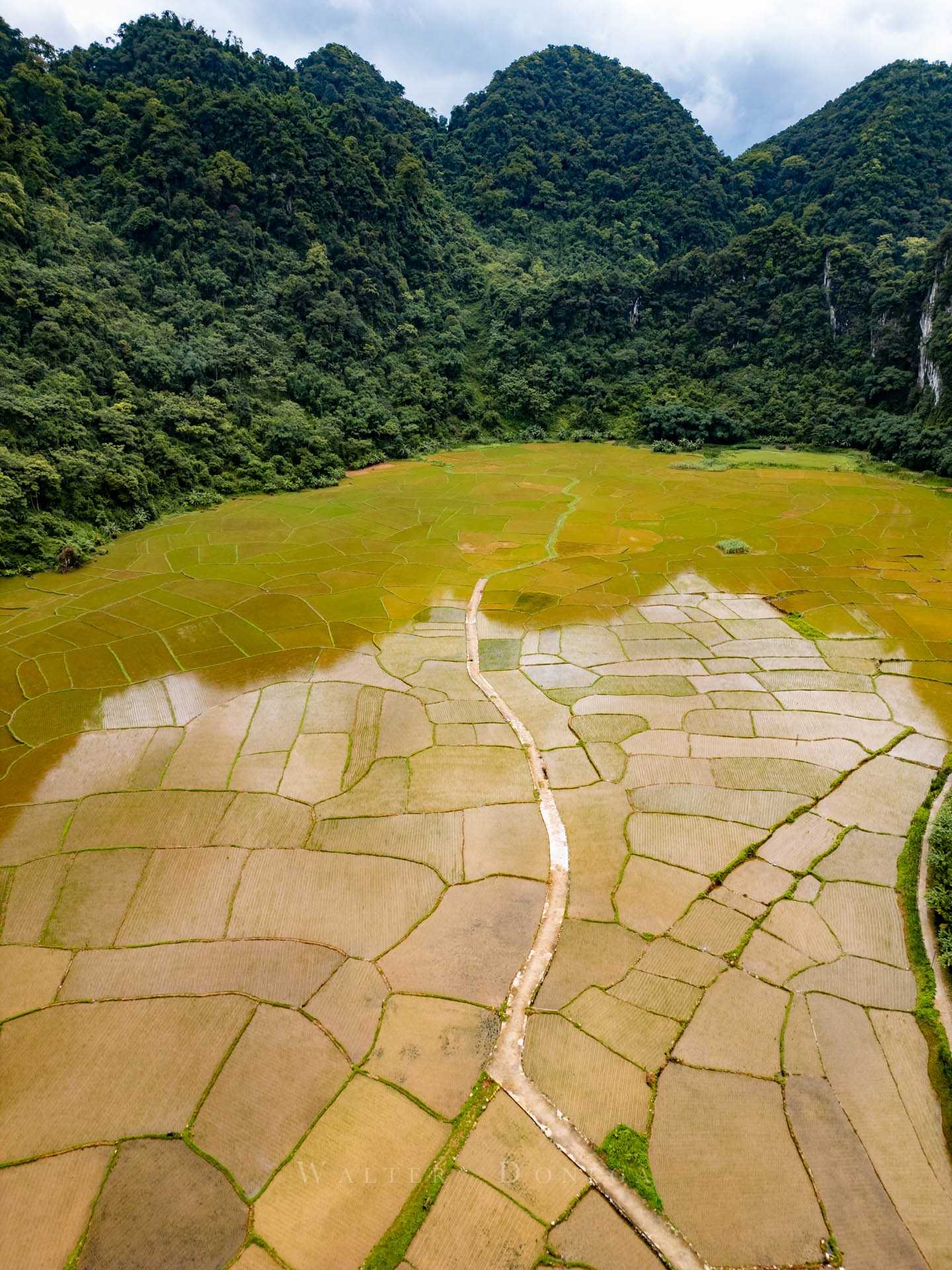 Riserva naturale Pu Luong